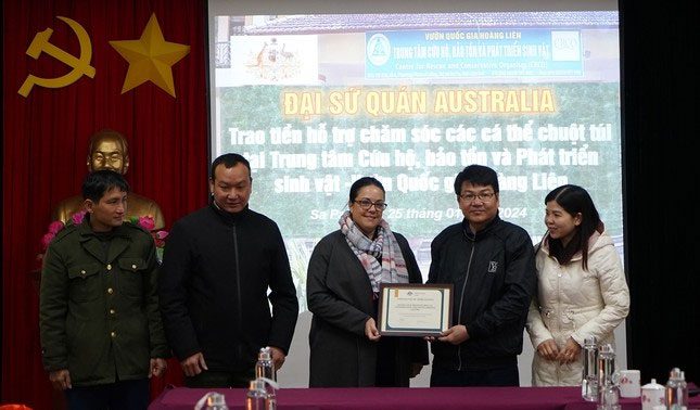 The Australian Embassy provides funding for the care of the two wallabies at Hoang Lien National Park.