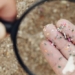 discover harmful plastic chemicals in human breast milk 132859