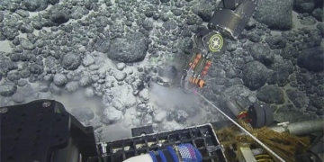discovery of a mountain peak you never knew was a super rare sea monster 132035