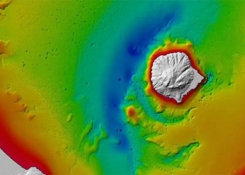 discovery of an unusual landing zone under new zealand water 132585
