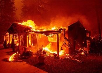 discovery of forest fire causing extremely toxic metal linked to cancer 131580