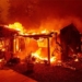 discovery of forest fire causing extremely toxic metal linked to cancer 131580