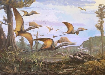 discovery of stones help understand the history of evolution of the species flying lizard 132637