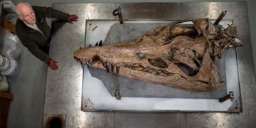 discovery of the massive non fossil coral reef of the most horrifying monster in the jura chronicles 131528