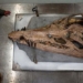 discovery of the massive non fossil coral reef of the most horrifying monster in the jura chronicles 131528