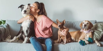 doctor talks about the hugging habit for kittens of young people should be careful of dangerous congenital diseases 131882