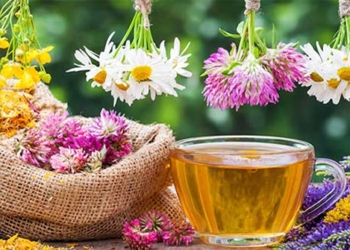 doctor vach tran 8 mistakes many people make when having flu or cold causing chronic illness 132166