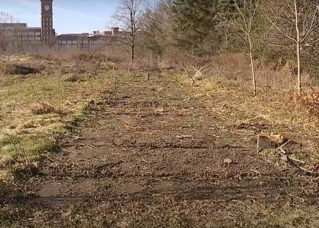 The thieves cleared the bushes around the bridge before gradually dismantling the deck and structure.