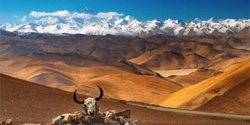 earth moving western tang co begins to show signs of distortion 132226