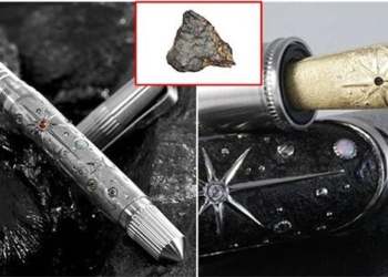 elephants with charity pens challenging 4 billion years old high value 132624