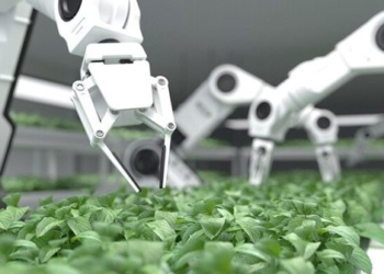 explore farms with only robot 132201
