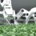 explore farms with only robot 132201