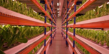 farm harvest 900 tons of fresh vegetables every year 121891