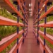 farm harvest 900 tons of fresh vegetables every year 121891