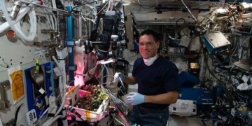 found tomato fruit 8 months on iss space station 131527