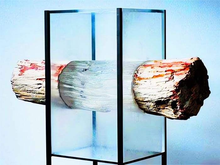Scientists develop transparent wood for smartphone screens and morphing windows.
