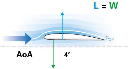 Stable angle of attack during level flight.