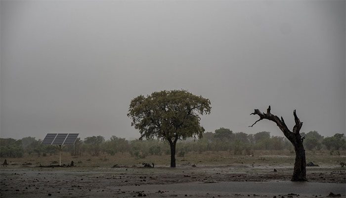 Dry waterholes have forced elephants and many other animals to move further to find water