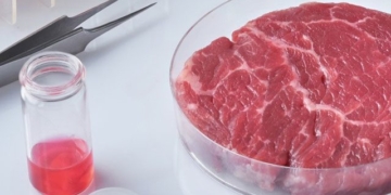 hello the surprising life of artificial meat which unexpected stories are being hidden 131958