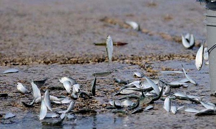 10 Mysterious Natural Phenomena that Challenge Science