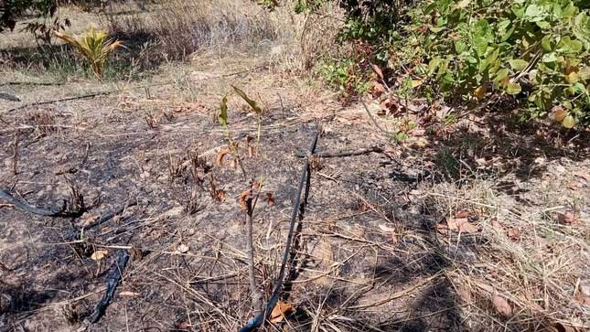 The "spontaneous combustion" phenomenon in Ia Lop Commune.