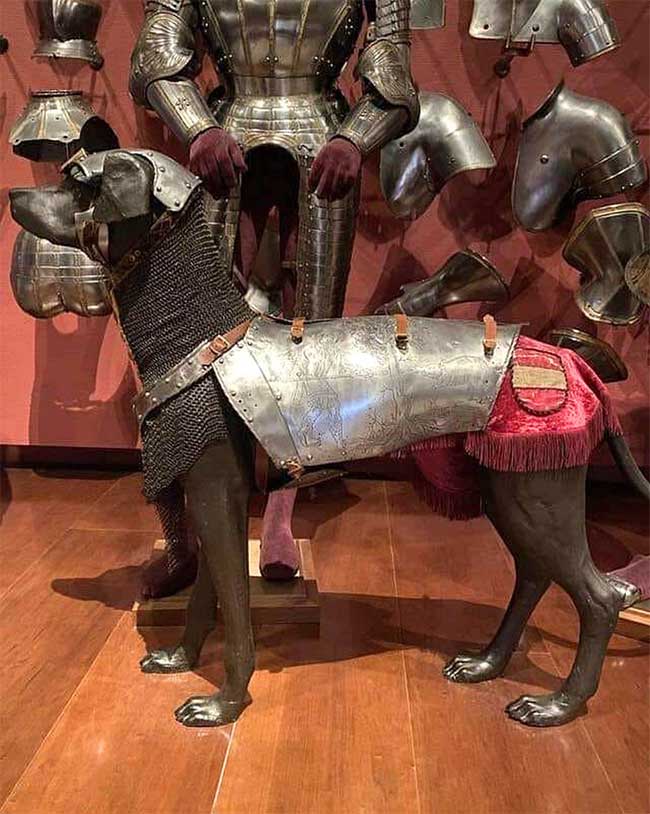 Dog armor from the court of Charles V displayed at the Royal Armory of Madrid.