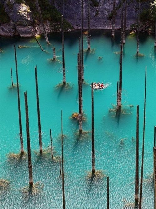 The stunning underwater forest in Kazakhstan