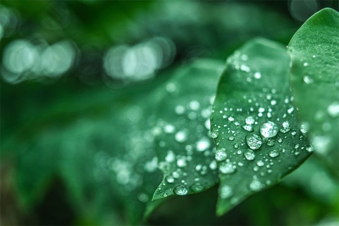Light can cause water to evaporate without heat.