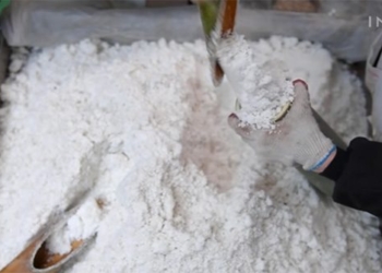 how the worlds most expensive salt is produced 119924