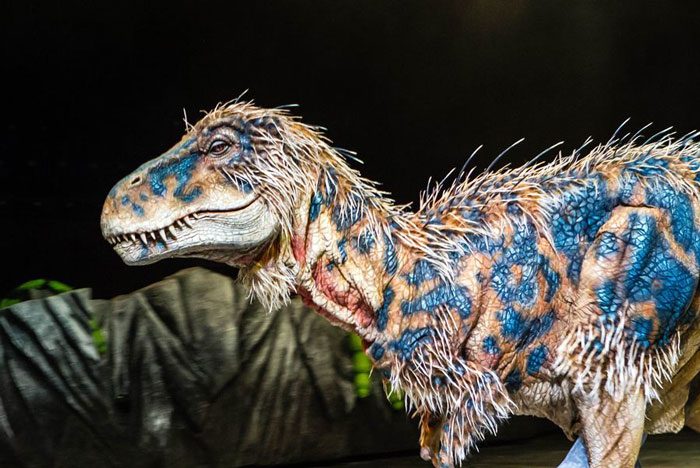 Humans believe that dinosaurs were green and scaly because they assumed that dinosaurs must resemble large modern reptiles like crocodiles. In reality, some fossils have preserved pigments, showing that not all dinosaurs were brown, black, or green. They may have been much more colorful.