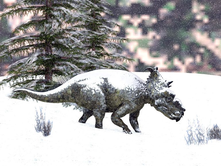In all the exhibits displaying dinosaur specimens, we see these creatures living in lush, wet tropical forests. However, this is not entirely true; many dinosaur species lived in cold climates. Therefore, you might see a T. rex through the snow.