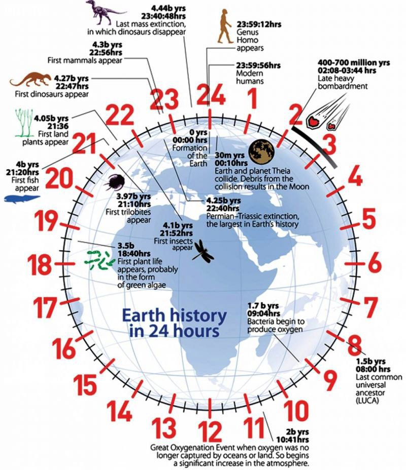 Dinosaurs survived for over 150 million years, so they cannot be considered unsuccessful. Human ancestors only appeared about 6 million years ago, and Homo sapiens has a history of no more than 200,000 years.