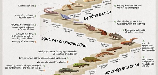 lich su tien hoa cua loai nguoi 1