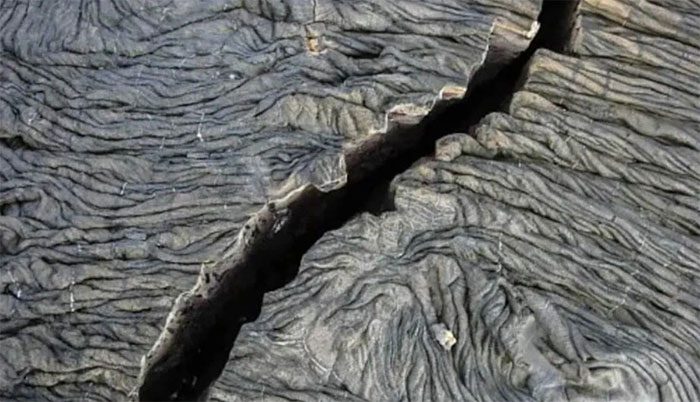 The Pacific Plate is the largest tectonic plate on Earth and is fracturing