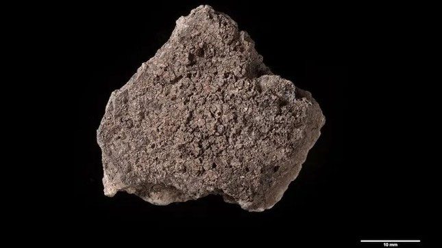 This ceramic shard contains 5,000-year-old charred food.