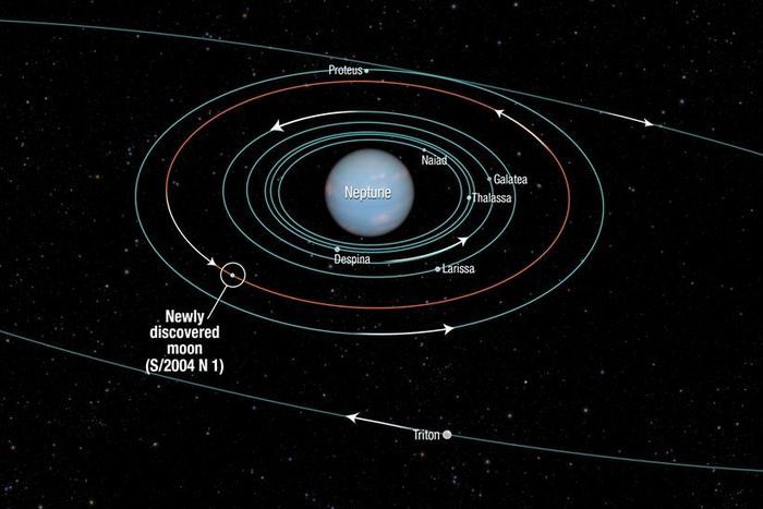 The orbits of some moons of Neptune.