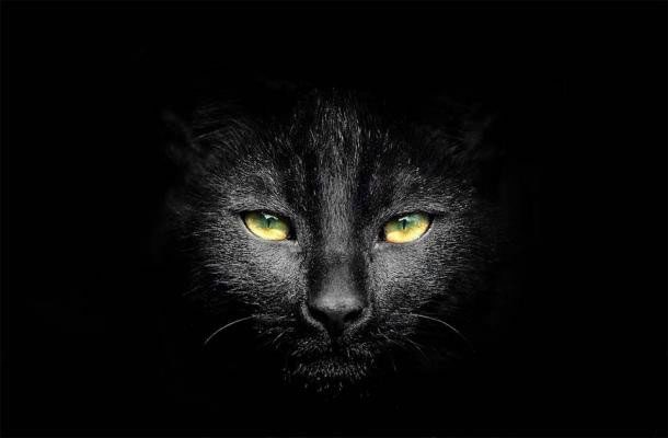 The ancient superstition surrounding black cats is as old as civilization itself.