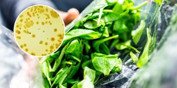 my warning about the extremely toxic bacteria in food 132447
