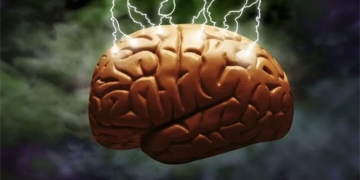 new discovery about experience which can continue to function 60 minutes after stop pulse 131835