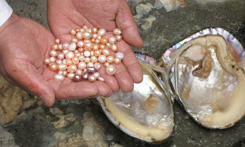 The process of pearl formation