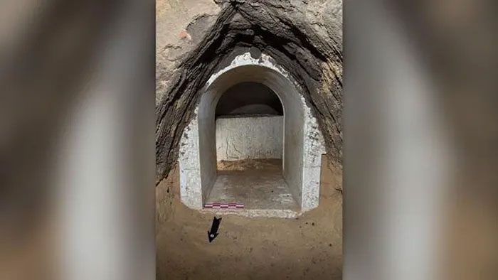 Inside the ancient tomb containing numerous magical spells to ward off snake bites