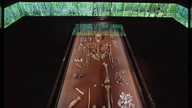 A part of the exhibition at the State Museum of Prehistory in Halle (Saale), Germany, about the double grave.