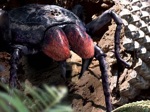 Giant spider