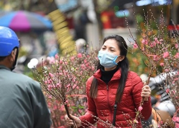northern region will be cold during tet giap thin 2024 132436