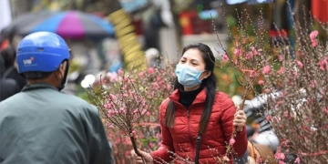 northern region will be cold during tet giap thin 2024 132436