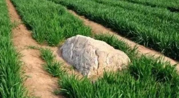 What is visible is just the peak of Mount Jing; its body remains deep underground.