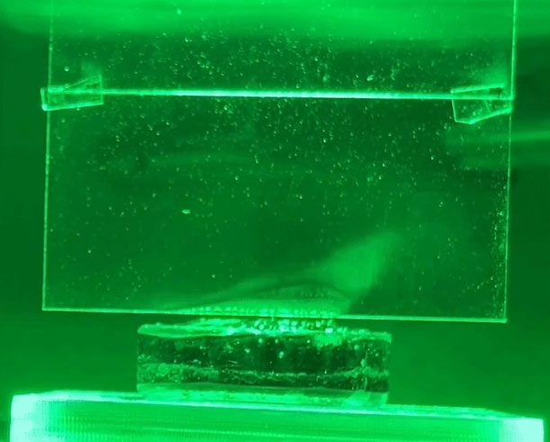 Water evaporates due to the effect of blue light.