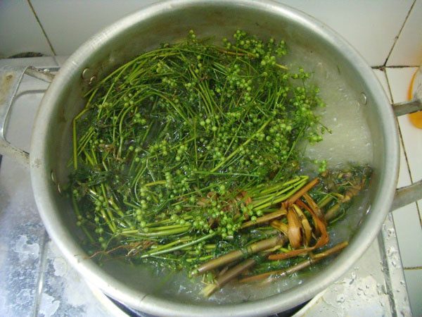 Bathing with coriander leaves has been a tradition among Vietnamese people for generations.