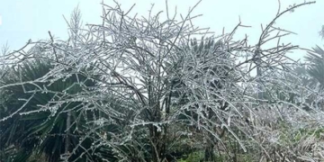 paint down 2 2 degrees this morning northern region cold until when 131735