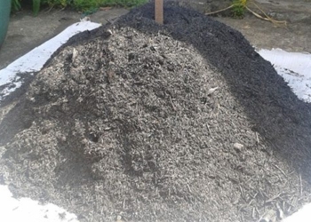 research bioengineering of soil reclamation for saline affected areas 133138